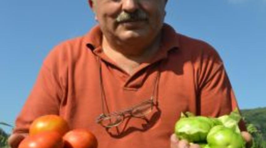 Tomatillo sofraların yeni lezzeti olmaya aday