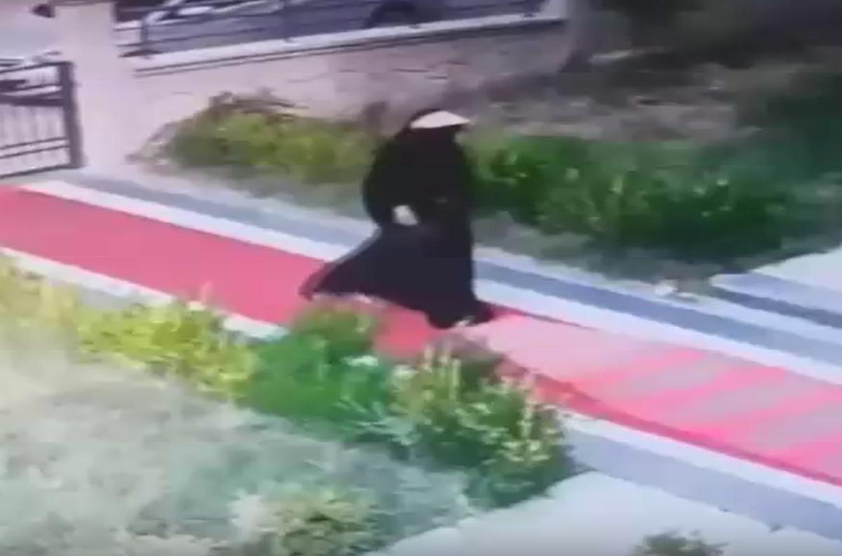 Hamile kadın su&ccedil; makinesi &ccedil;ıktı! 152 ayrı kaydı varmış 2