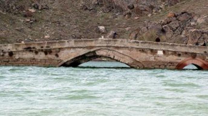 Tarihi k&ouml;pr&uuml;y&uuml; kır bek&ccedil;ileri koruyacak