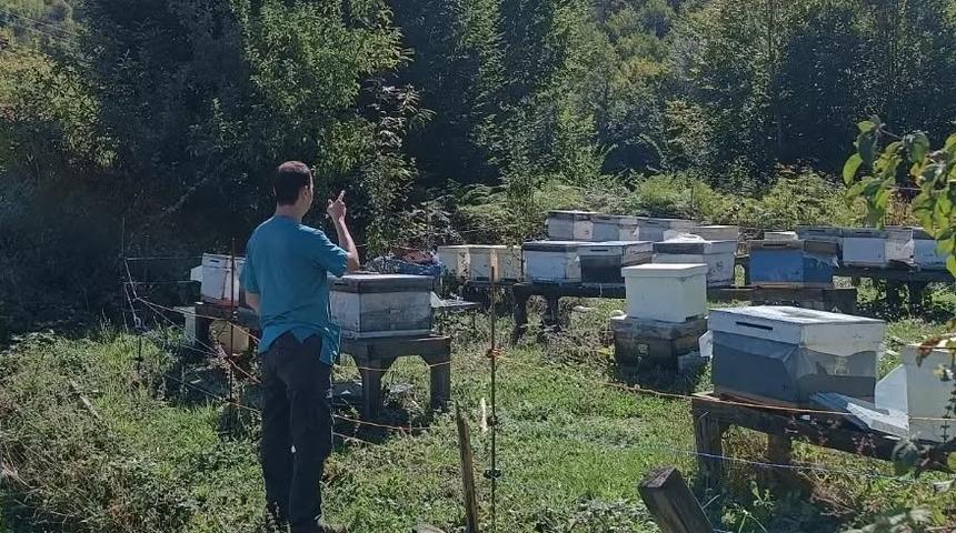 Yığılca&rsquo;da arılı kovan sayımı yapıldı