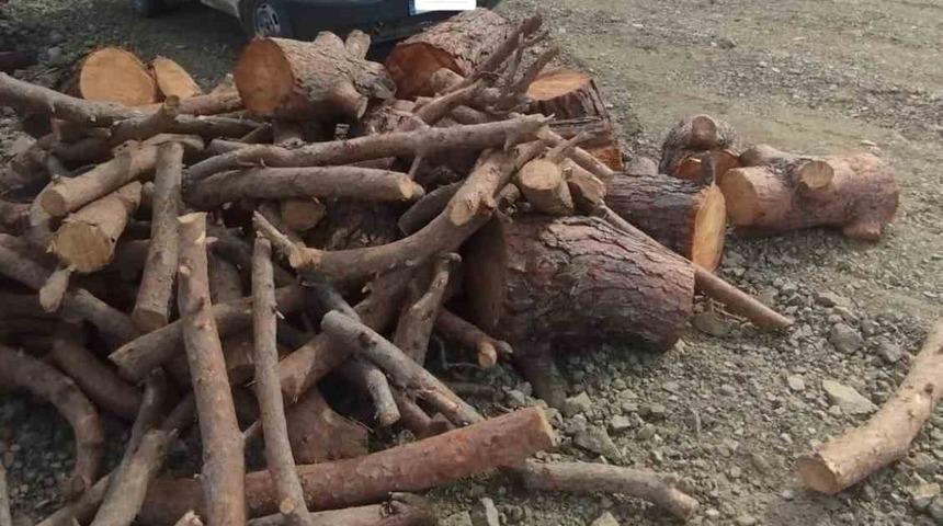 Kahramanmaraş&rsquo;ta ka&ccedil;ak orman emvali