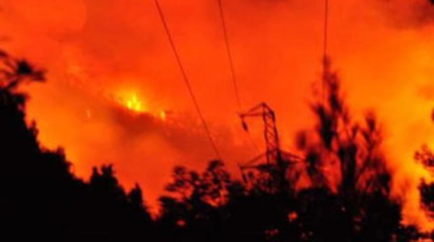 Dat&ccedil;a&rsquo;da orman yangını kontrol altına alındı