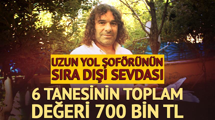 Şof&ouml;r&uuml;n sıra dışı sevdası: 6 tanesinin toplam değeri 700 bin TL