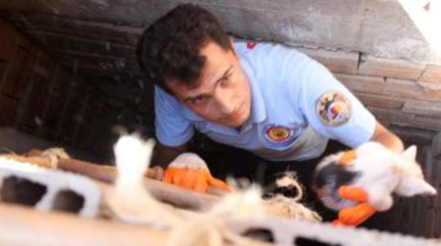 Havalandırma boşluğuna d&uuml;şen yavru kediyi itfaiye kurtardı