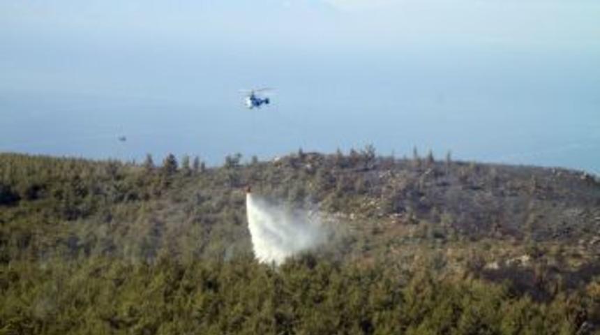 Orman Genel M&uuml;d&uuml;r Yardımcısı Doğan: Seferihisar yangınında kasıt var