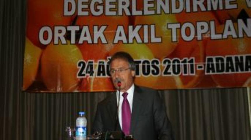 Narenciye sekt&ouml;r&uuml;n&uuml;n sorunları Adana'da masaya yatırıldı