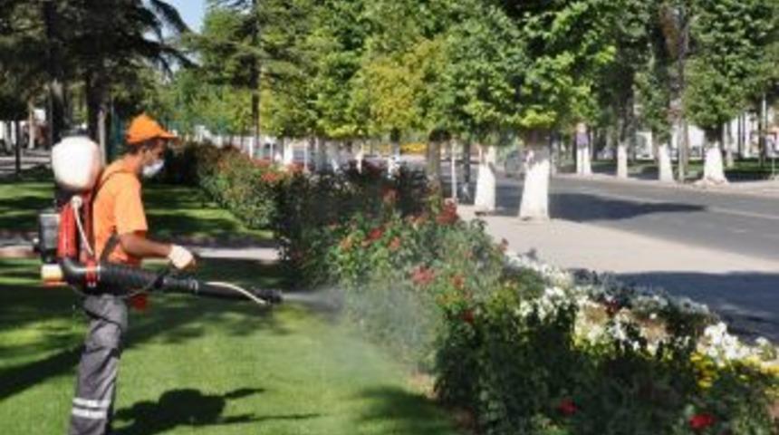 Malatya'da zararlı b&ouml;ceklerle m&uuml;cadele &ccedil;alışmaları s&uuml;r&uuml;yor