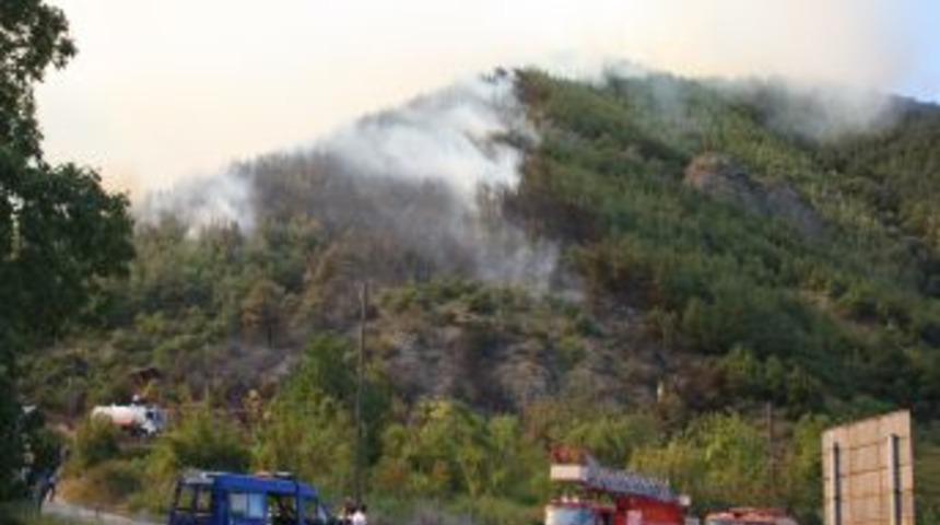 Sakarya'da orman yangını