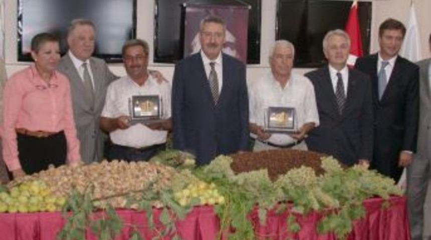 İlk &ccedil;ekirdeksiz kuru &uuml;z&uuml;m ve kuru incir borsaya geldi