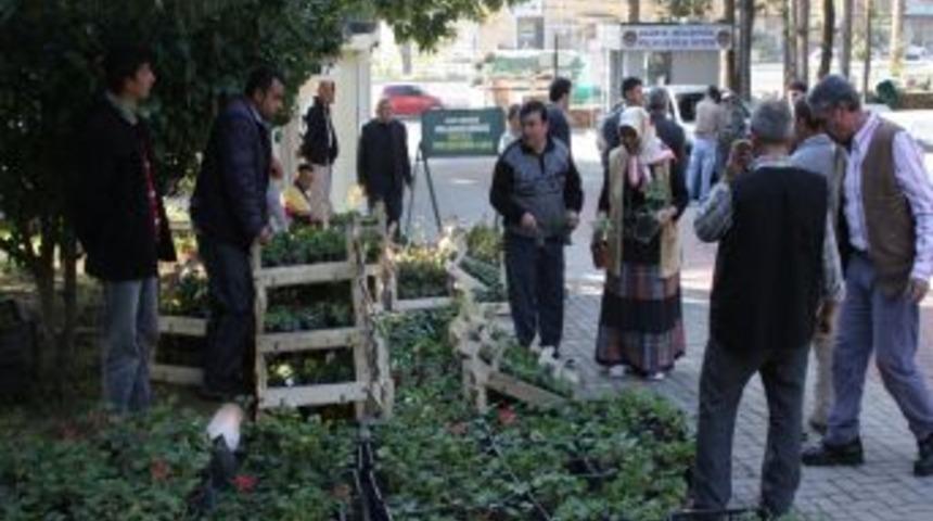 Mezarlıklarda &ccedil;i&ccedil;ekler belediyeden