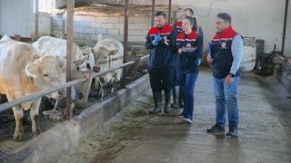 Kars'ta şap hastalığına karşı yoğun aşılama seferberliği