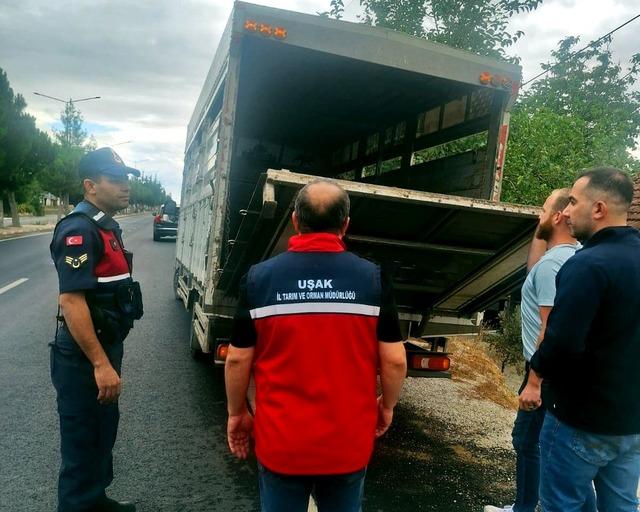 Uşak’ta hayvan hastalıklarına karşı yol kontrol ve denetimler aralıksız devam ediyor 2