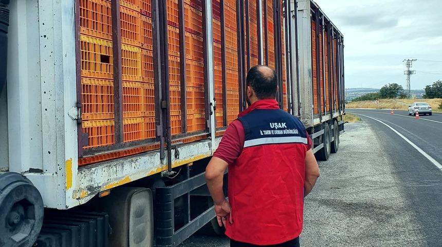 Uşak&rsquo;ta hayvan hastalıklarına karşı yol kontrol ve denetimler aralıksız devam ediyor