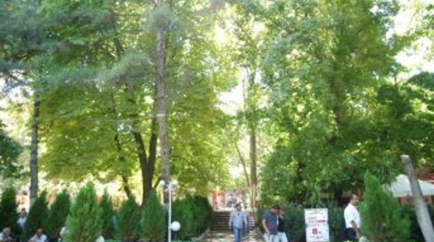 Vilayet parkı'nda son karar