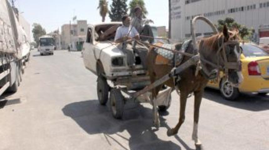 Bu da tek beygirlik araba