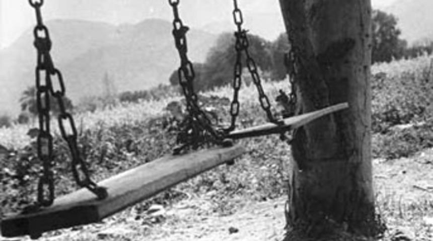 Kardeşlerin oyunu ''acı'' bitti