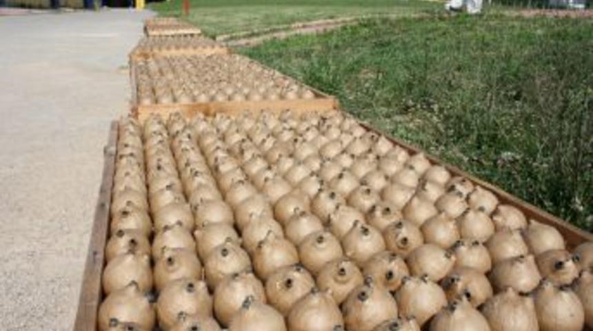 Ramazan ayı i&ccedil;in 30 bin ses bombası satıldı