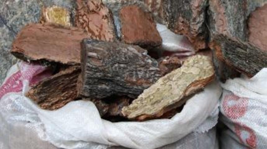 Orman dışı &uuml;r&uuml;nler Anadolu &Uuml;niversitesi&rsquo;nde analiz edilecek