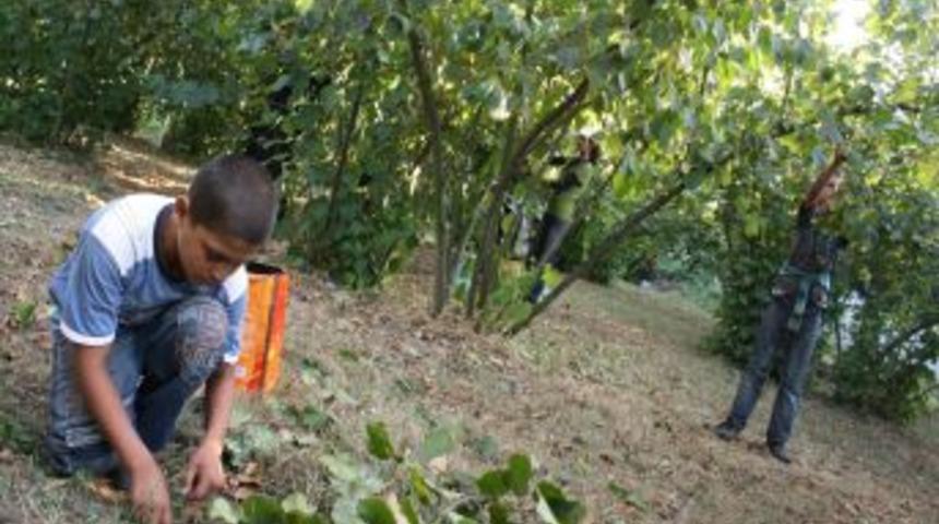 Mevsimlik iş&ccedil;iler bayrama fındık bah&ccedil;esinde giriyor