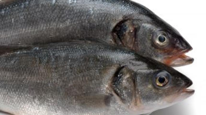 Tanıtım, balık t&uuml;ketimini de ihracatını da artırdı