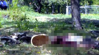 Erzurum'da ayı 2 kişiyi öldürdü