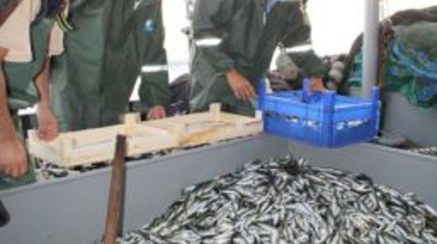 &lsquo;Vira Bismillah&rsquo; diyen balık&ccedil;ılar ilk g&uuml;n umduğunu bulamadı