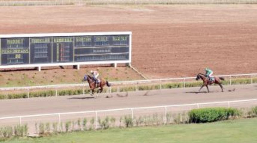 Diyarbakır&rsquo;da at yarışları başladı
