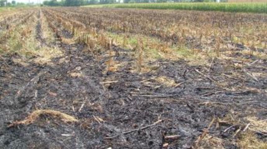 Anız yangınları sağlığı da olumsuz etkiliyor