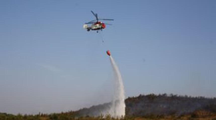Yol kenarına atılan sigara izmariti 1 hektarlık ormanı yok etti