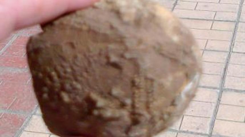 Denizden 25 kilometre uzakta, denizyıldızı fosili bulundu