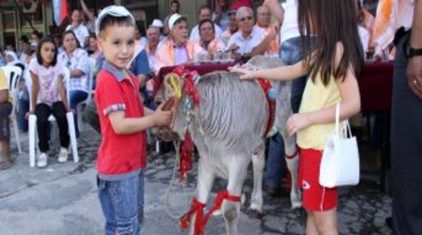 Buzağılar podyuma &ccedil;ıktı