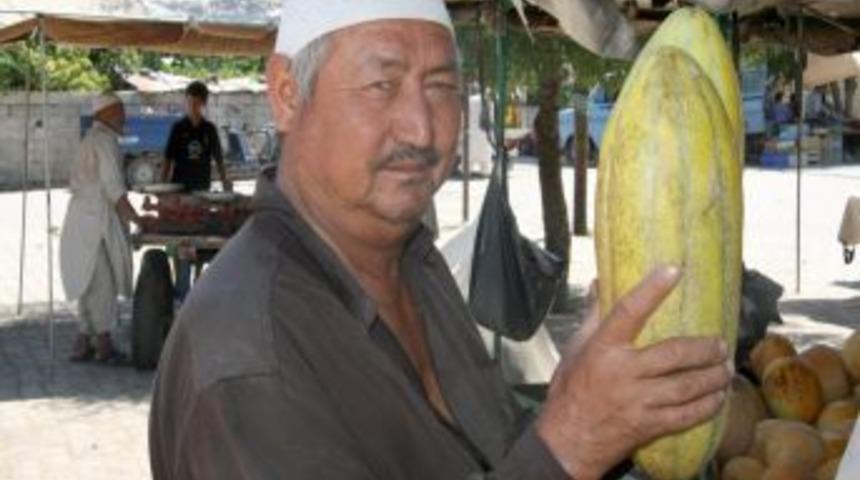 Afganlıların Amik Ovasındaki alternatif kavun &uuml;retimi umut verdi