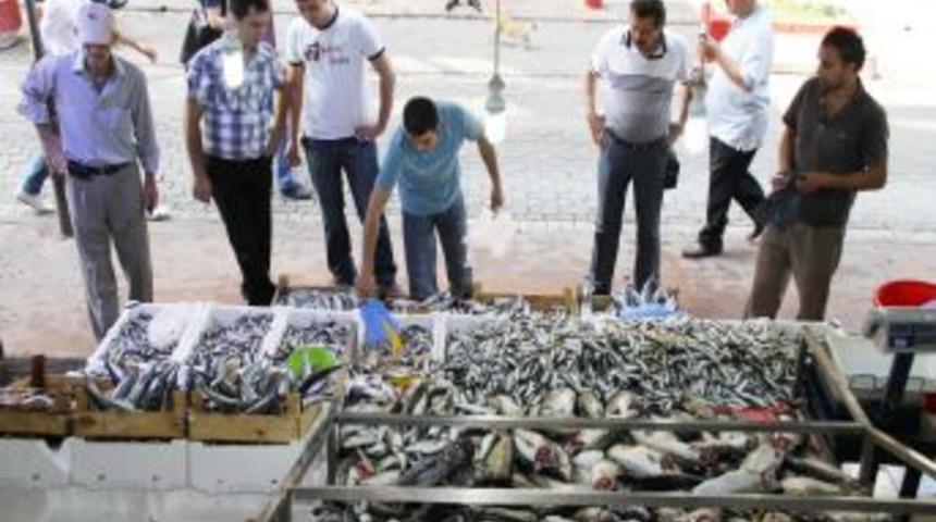 Karadeniz&rsquo;de istavrit ve palamut bereketi