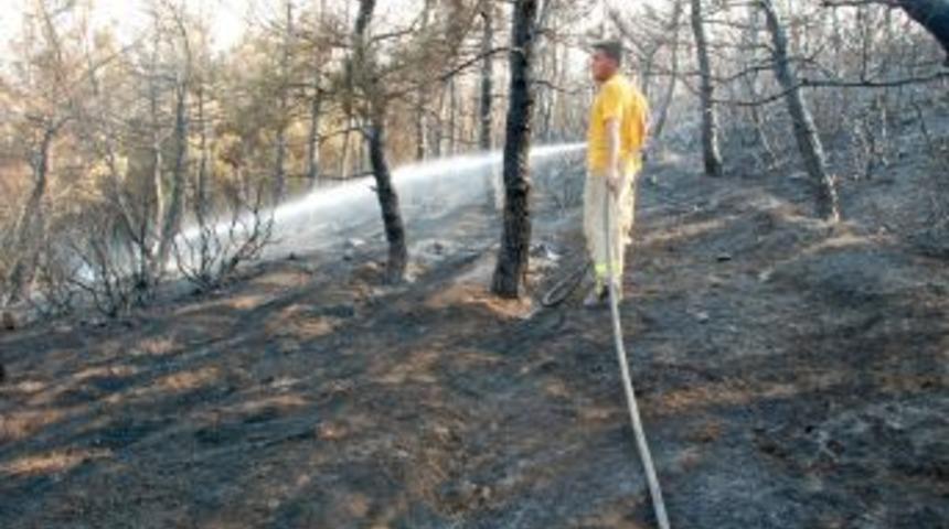 Keşan&rsquo;daki orman yangınında 1 hektarlık alan k&uuml;l oldu