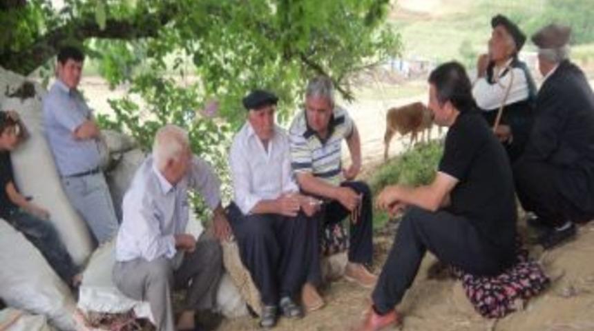 Metiner, Sincik yaylalarında sorunları dinledi