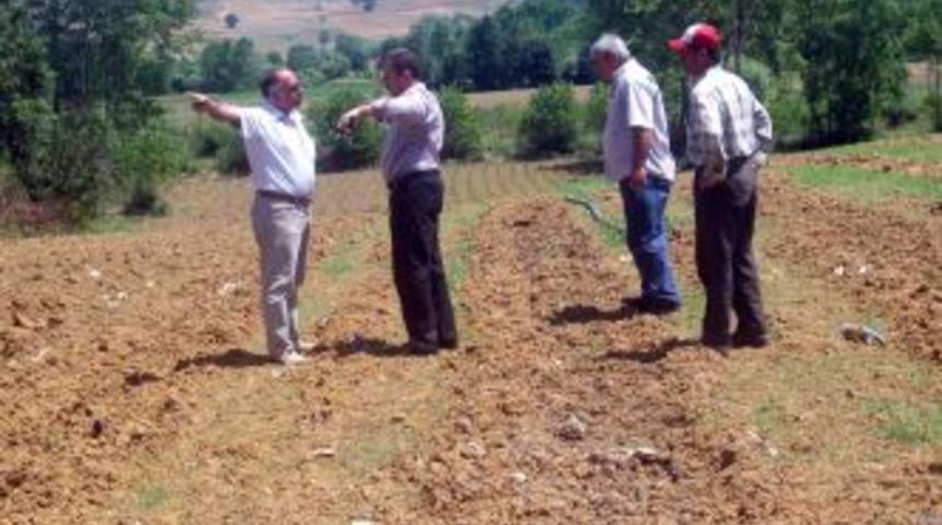 Kandıra&rsquo;da &ouml;rnek proje start aldı