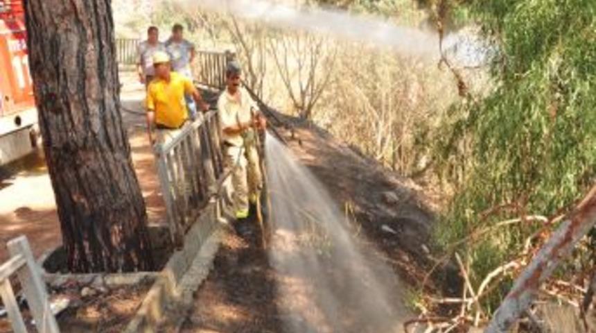 &Ouml;l&uuml;deniz&rsquo;deki orman yangını korkuttu