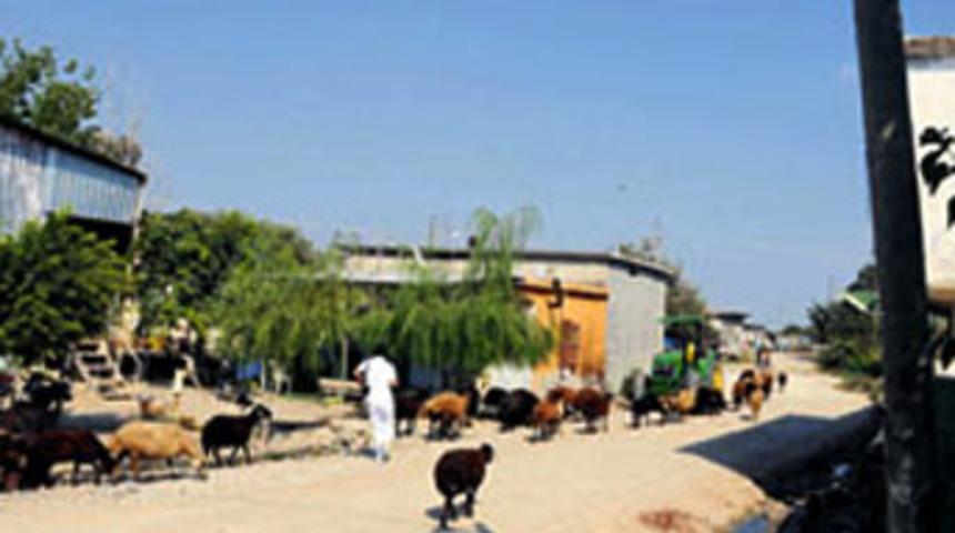 Biri köyü gözetliyor!