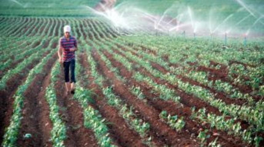 "Yağmurlama sistemi toprağı korurken verimi artırıyor"