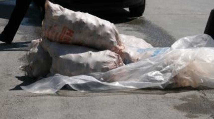 Otob&uuml;sle koyun tırnağı ka&ccedil;ak&ccedil;ılığına zabıta engeli