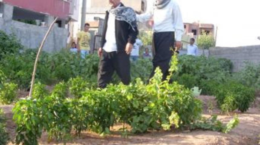 Silopi'de 'Dermansız Dert'in film &ccedil;ekimleri tekrar başladı