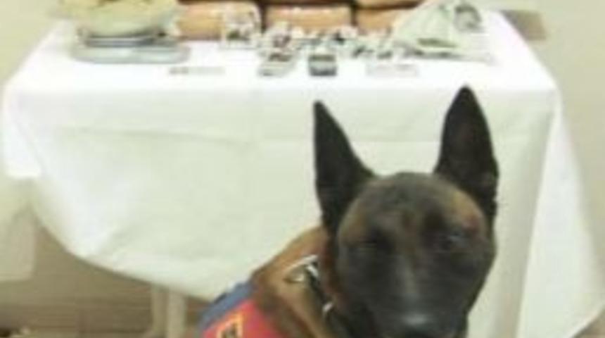 Şifreli karpuzlara jandarma ge&ccedil;it vermedi