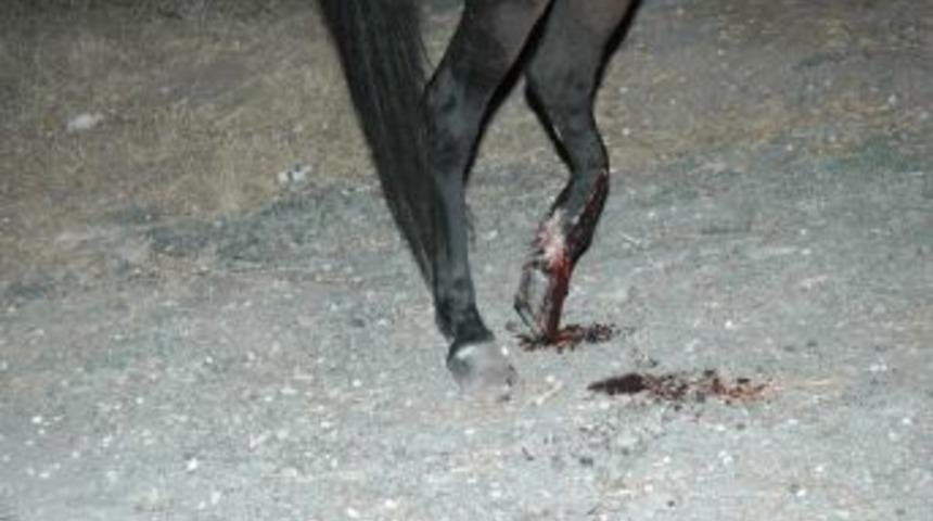 &Ccedil;evre yolunda otomobil at arabasına &ccedil;arptı