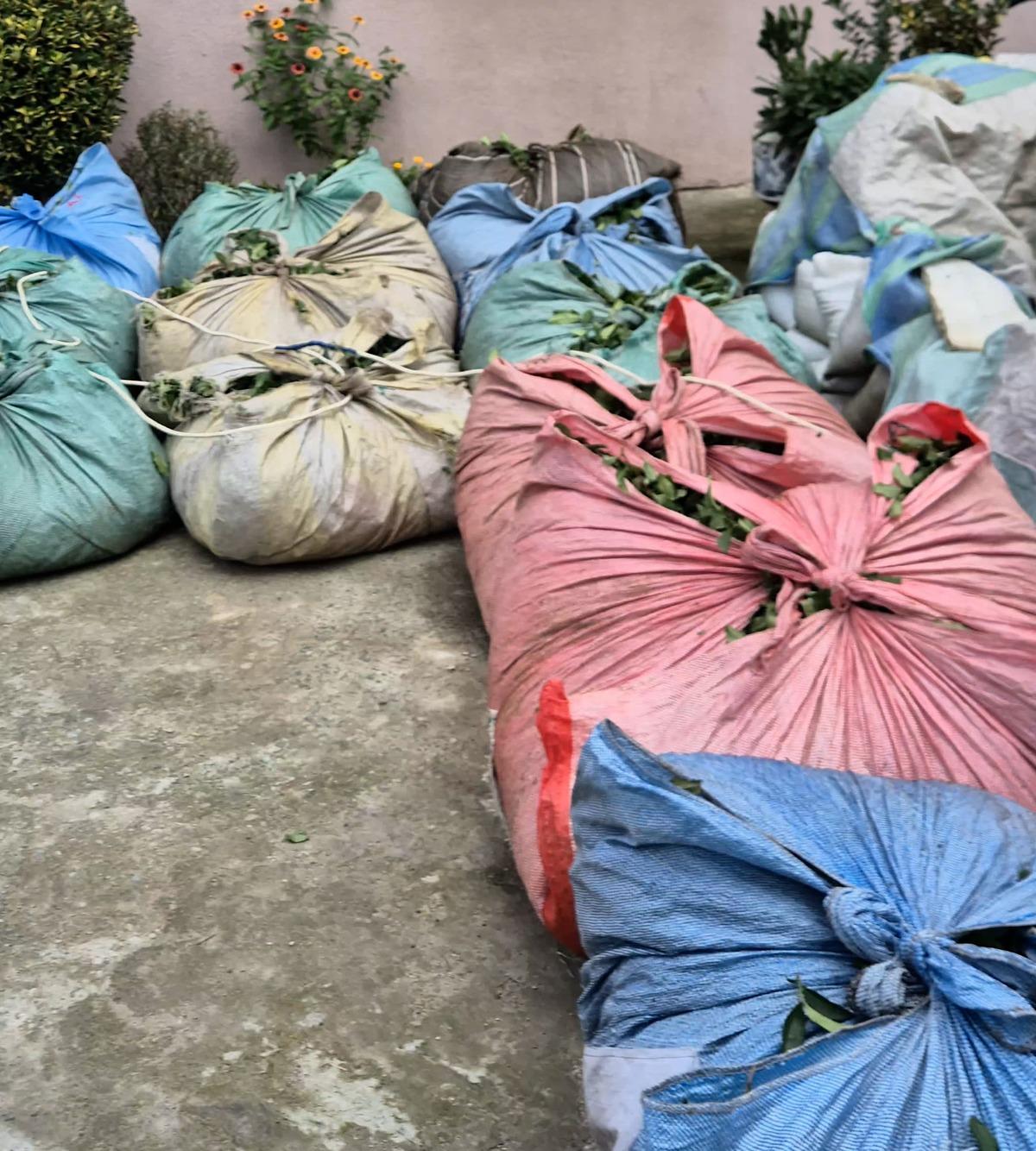 Rize&rsquo;de fıkra gibi olay: 20 bez &ccedil;ayı 2 salatalığa kurtardı 2