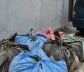 Rize�de f�kra gibi olay: 20 bez �ay� 2 salatal��a kurtard�