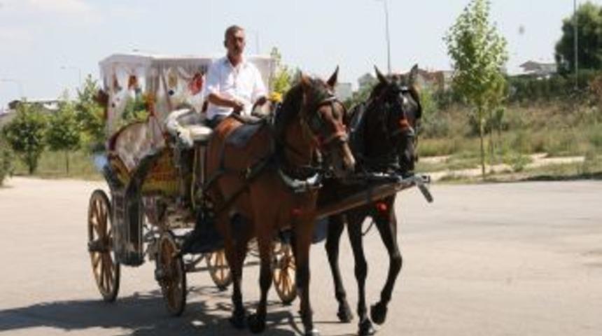 Baba mesleği faytonculuğu yaşatmaya &ccedil;alışıyor