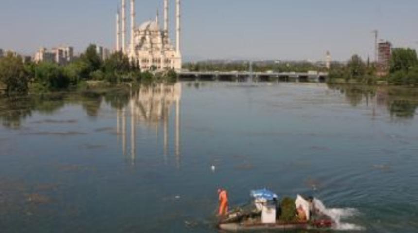 Seyhan Nehri'ni temizlemeye bir yosun makinesi yetmiyor