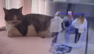 Tekmelediler ama pes etmedi: Mucize hırsızları p&uuml;sk&uuml;rtt&uuml;