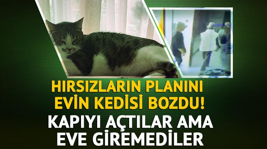 Tekmelediler ama pes etmedi: Mucize hırsızları p&uuml;sk&uuml;rtt&uuml;