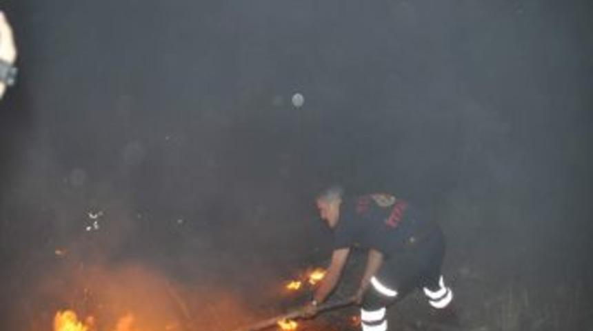 Ara&ccedil; giremedi, fidanlık yangınını 4 itfaiye ekibi elleriyle s&ouml;nd&uuml;rd&uuml;